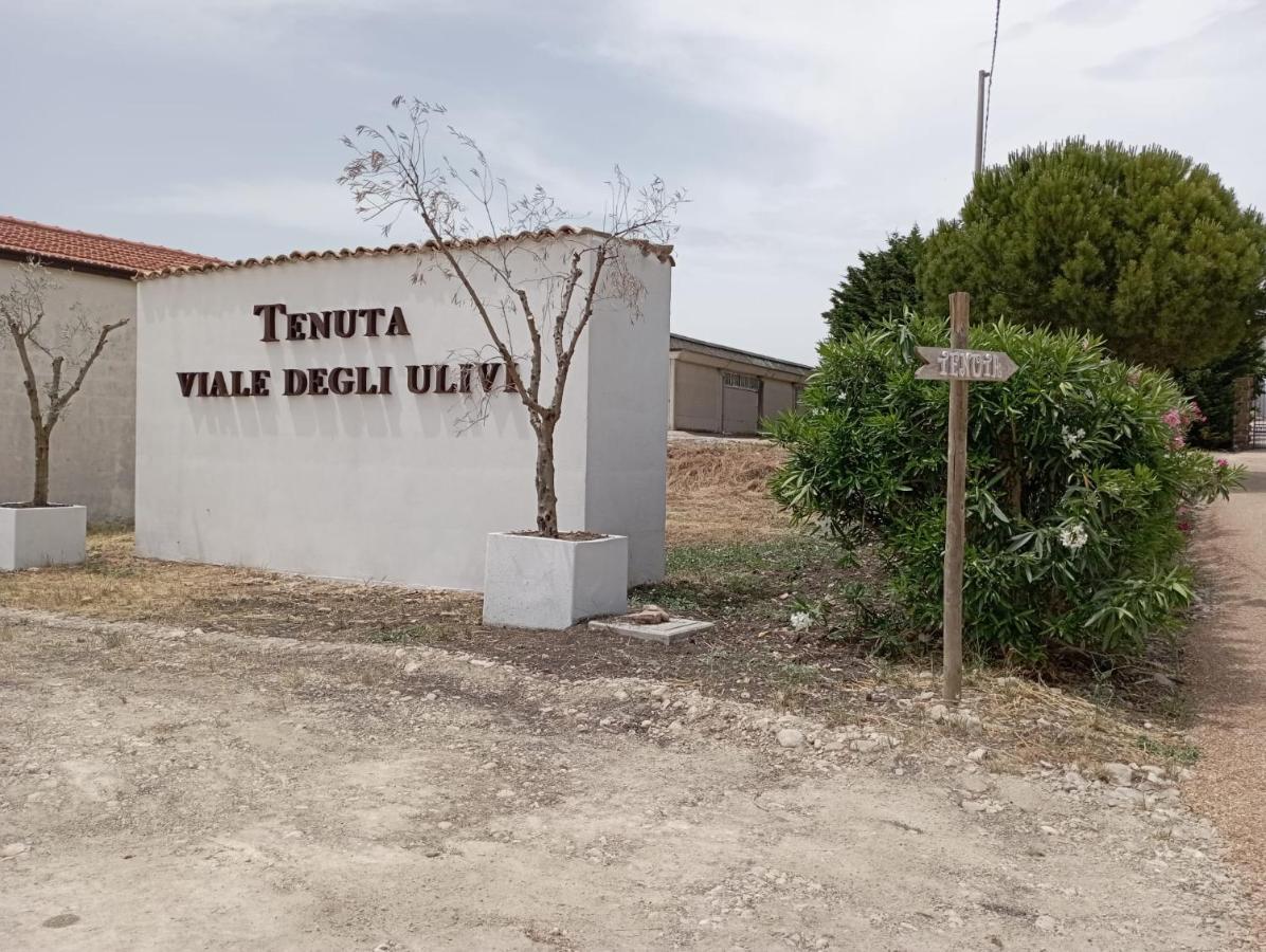 Tenuta Viale Degli Ulivi 산 마르티노 인 펜실리스 외부 사진