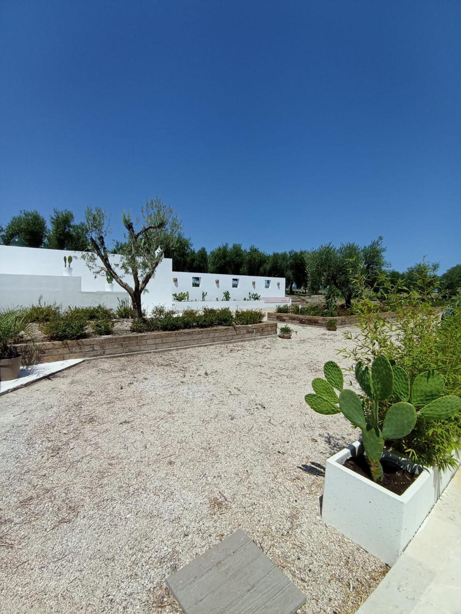 Tenuta Viale Degli Ulivi 산 마르티노 인 펜실리스 외부 사진